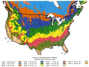 It’s Time To Follow The Rules – Planting Zones Keep Things In Check 